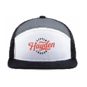 P787 Embroidered White/Graphite/Black