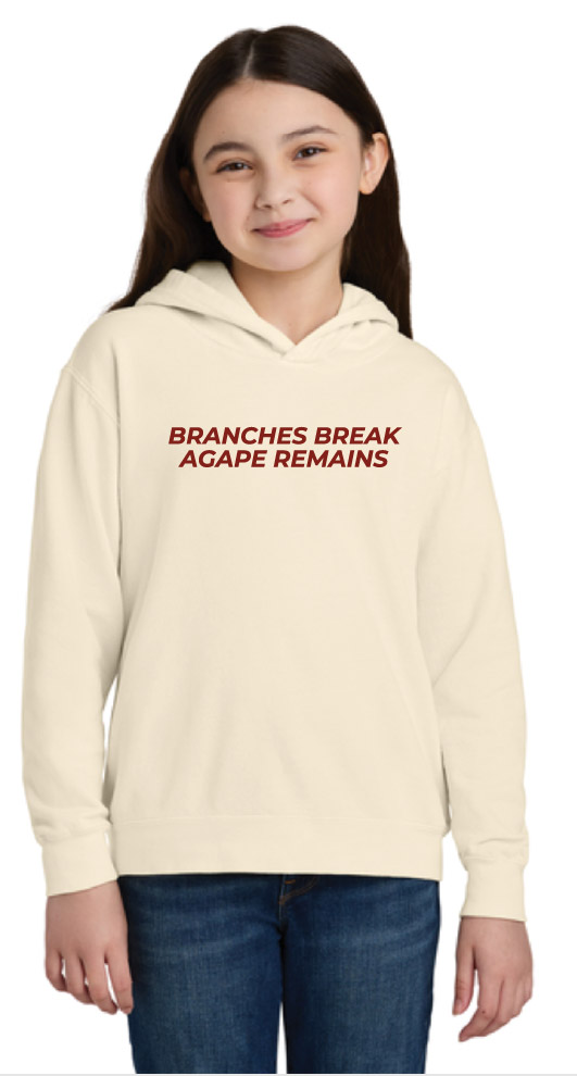 1467YNew Comfort Colors® Youth Lightweight Hooded Sweatshirt