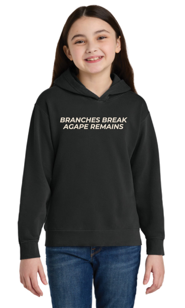 1467YNew Comfort Colors® Youth Lightweight Hooded Sweatshirt - Image 3