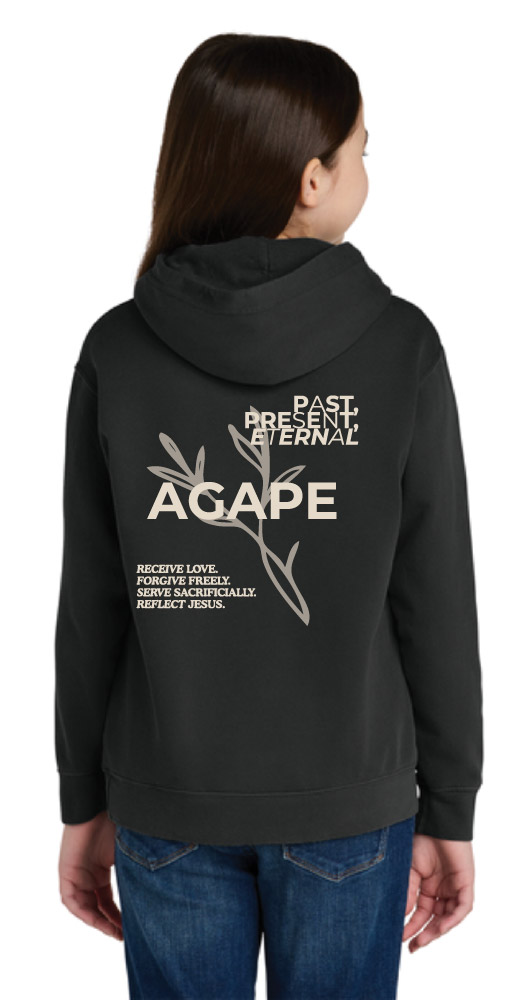1467YNew Comfort Colors® Youth Lightweight Hooded Sweatshirt - Image 4