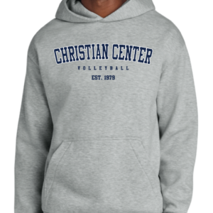 DT6150 Heavyweight Fleece Hoodie-Light Grey
