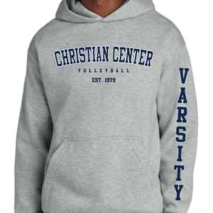 DT6150 Heavyweight Fleece Hoodie-Light Grey-VARSITY-NO NAME/NUMBER